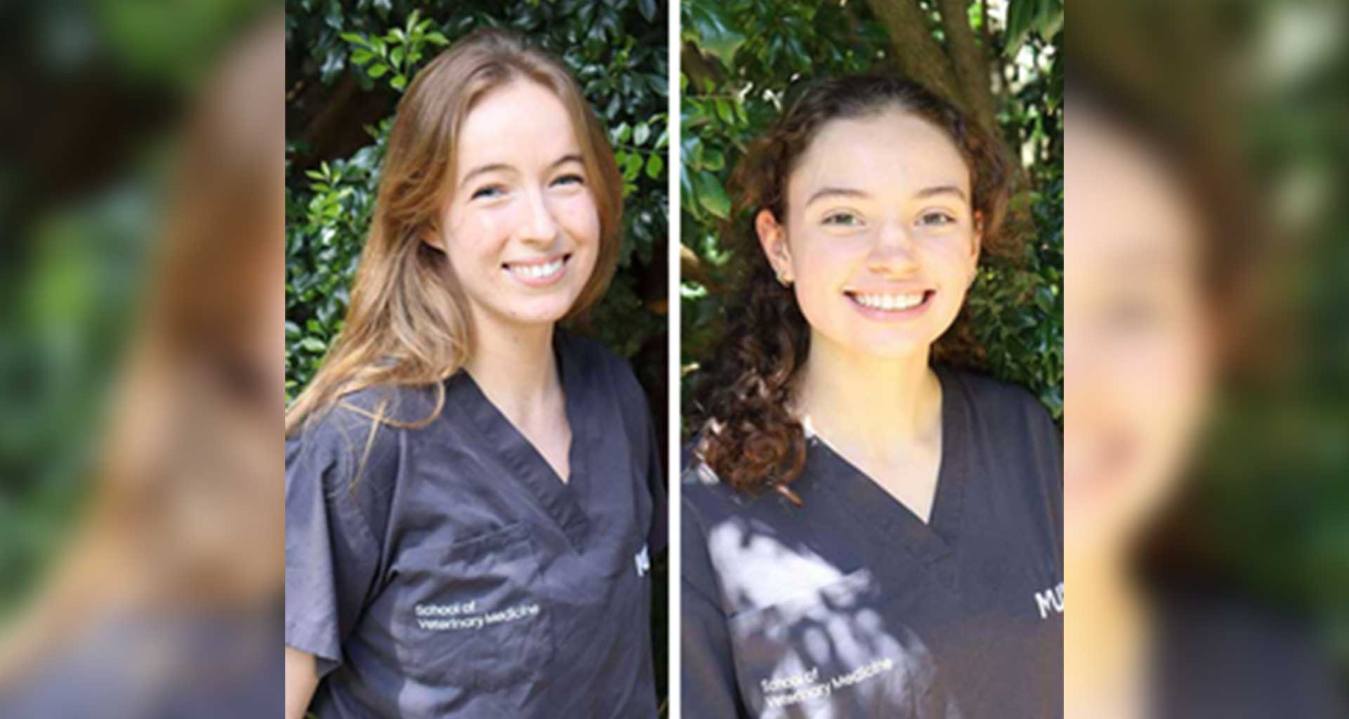 Welcome to the team!